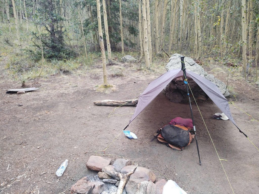 A-frame tarp pitch in an aspen grove