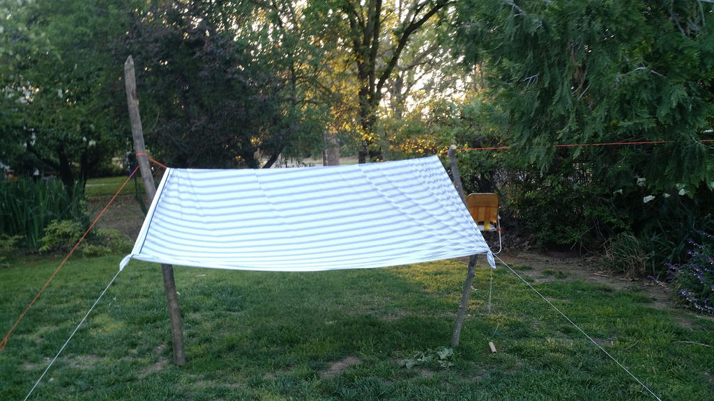 Improvised slanted flat pitch for shade using a bedsheet -- one edge attached to shrubs, the other staked at an angle